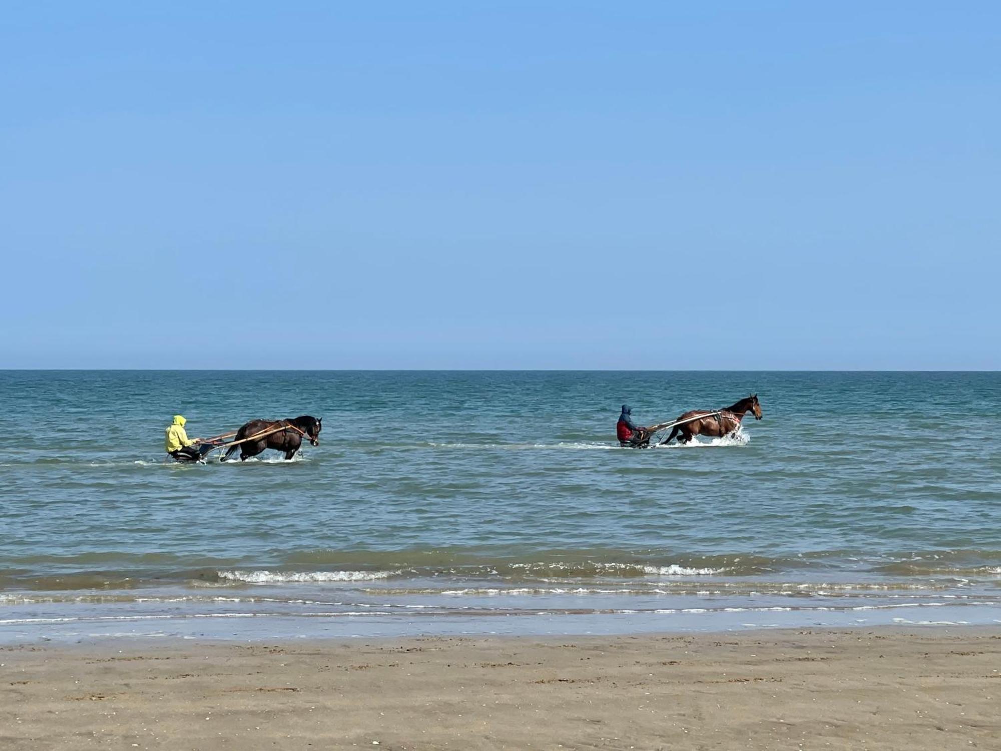 Pressoir De La Mare Superhote 12 Minutes De Cabourg Goustranville Екстер'єр фото